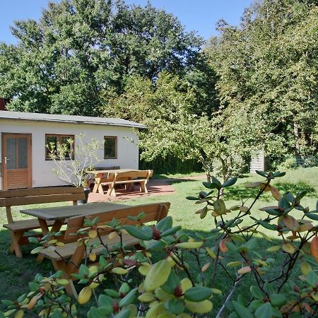 Strandstrasse 60 Ferienwohnung S12 Graal-Mueritz Zewnętrze zdjęcie